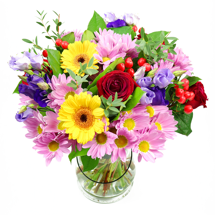 A vibrant mixed-colour bouquet rises confidently from a plain clear glass vase, its reflection faintly visible against a smooth white backdrop that lets the flowers take centre stage. Deep red roses form the emotional core of the design, their plush, velvety petals opening in tight curls that suggest both romance and respect. Framing these are radiant yellow gerbera daisies, each with a dark brown-orange centre ringed by strong, straight petals, giving the impression of miniature sunbursts shining out from the arrangement. Encircling the focal blooms is a generous layer of soft pink and lilac chrysanthemums or daisies, their many fine petals and little yellow centres creating a feathery, comforting texture that softens the overall shape. Threaded among them are striking purple and lavender lisianthus, some buds still gently closed, others unfurling with ruffled, bell-like blooms that lend depth and a cool, elegant counterpoint to the warmer tones. Bright red hypericum berries, smooth and rounded, are tucked here and there like scattered jewels, adding playful dots of shine and dimension. A variety of green foliage cradles the flowers: broad, darker leaves support the structure, while slender, fresh green shoots and sprigs bring movement and an almost woodland freshness reminiscent of a stroll through nearby Clissold Park or the gardens off Amhurst Park. The stems, carefully trimmed and arranged, are clearly visible through the glass, fanning out in clean water and revealing the professional technique behind the apparent effortlessness. The whole composition feels joyful yet composed, suitable for celebrating milestones, offering thanks, or simply sending a bright hello to someone special in Stamford Hill and neighbouring areas.