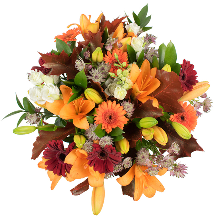 Seen from a slightly elevated angle on a bright white backdrop, this autumnal bouquet is a study in warm contrast and tactile detail. Prominent, fully bloomed orange Asiatic lilies form a graceful crown, their smooth, trumpet-shaped petals curling back to reveal inner stamens, while numerous green-tinged lily buds hint at continued life and gradual opening. Orange and deep burgundy Gerbera daisies are scattered through the design, their cheerful discs and concentric petals bringing rustic brightness to the arrangement; creamy white Lisianthus (or miniature roses) soften the composition with layered, delicate ruffles. Fine, star-like clusters of purple-grey Astrantia lend an intricate, papery texture that plays against the denser, waxier petals of the lilies and gerberas. The palette is anchored by broad, lobed leaves in warm reddish-brown tones that resemble freshly shed oak or maple leaves, artfully placed to echo the season's falling foliage, while fresh green leaves and slender stems provide a lively, structural backbone. The bouquet reads as abundant and freshly gathered, emitting a gentle, herbaceous-floral scent that feels like a walk through local green spaces - imagine the cool, leafy lanes off Stamford Hill and the quieter corners by Amhurst Park. Arranged tightly and lit to make each hue pop, it suits autumn home décor, Thanksgiving centrepieces, or as an earnest gift to share the season's warmth with friends and family nearby.