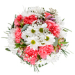 This bouquet is a radiant celebration of Stamford Hill's seasonal beauty and a florist's artistry, designed to capture the sense of renewal that blooms across the neighbourhood each spring. At its centre, cheerful white daisies gleam against softly ruffled coral-pink carnations, the two flower types interlaced for balance and visual delight. Wispy sprigs of baby's breath float among the blossoms, imparting a gentle lightness that echoes the cool morning air along Clapton Common. Threaded through the bouquet, hints of blush alstroemeria and silvery eucalyptus introduce subtle shifts in hue and fragrance that deepen the arrangement's sophistication. Each green leaf and floral petal plays a role, their contrasting textures and tones meticulously arranged to create fullness and harmony. The overall effect is one of gentle exuberance-a bouquet that conveys joy, new beginnings, and sincere appreciation. Whether chosen to mark birthdays, express congratulations, or simply to brighten a home along Stamford Hill's thriving avenues, this arrangement tells a story of warmth, celebration, and the enduring skill of florists who understand the heart of their North London community.
